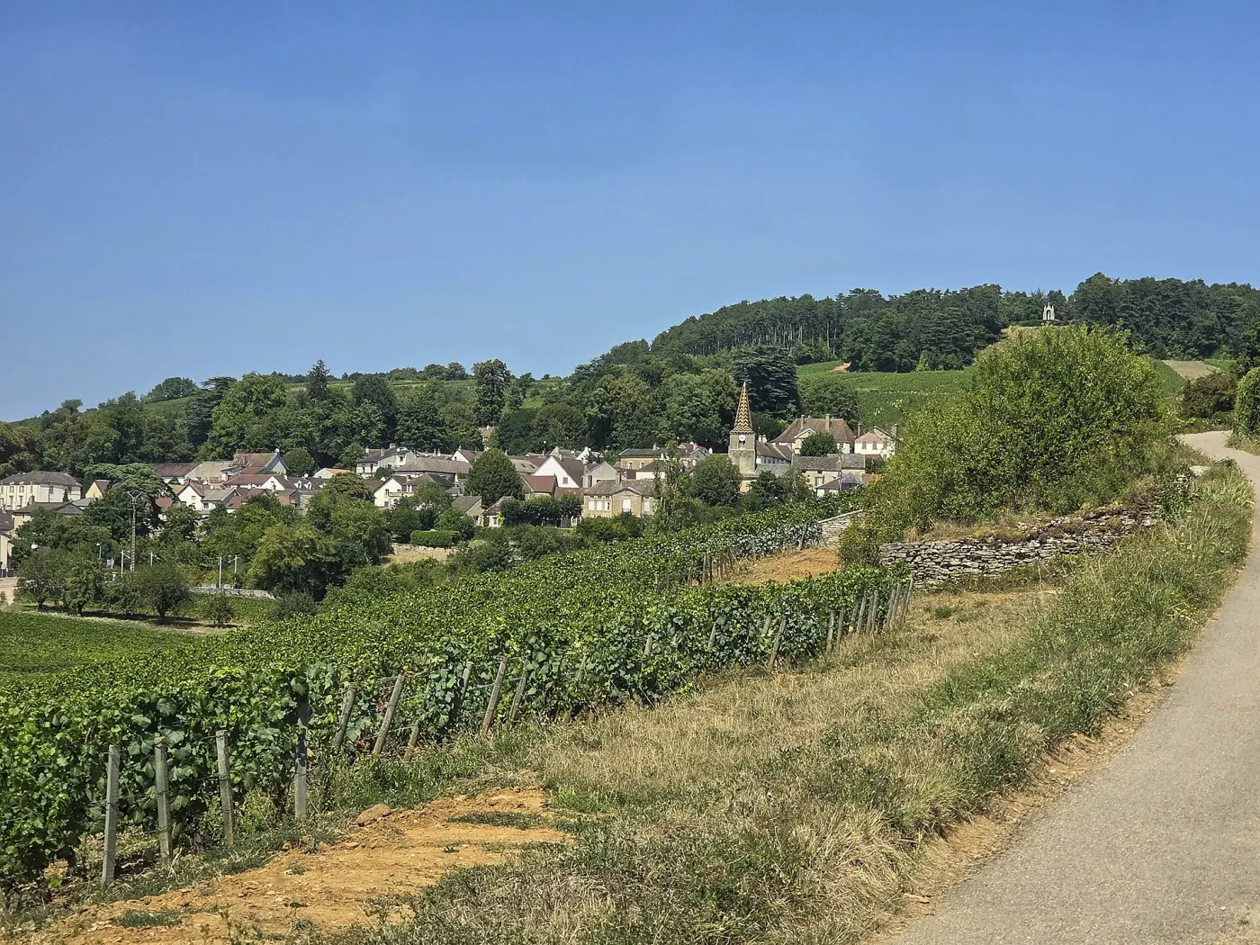 Le village de Pernand-Vergelesses vu depuis le chemin, entouré de vignes